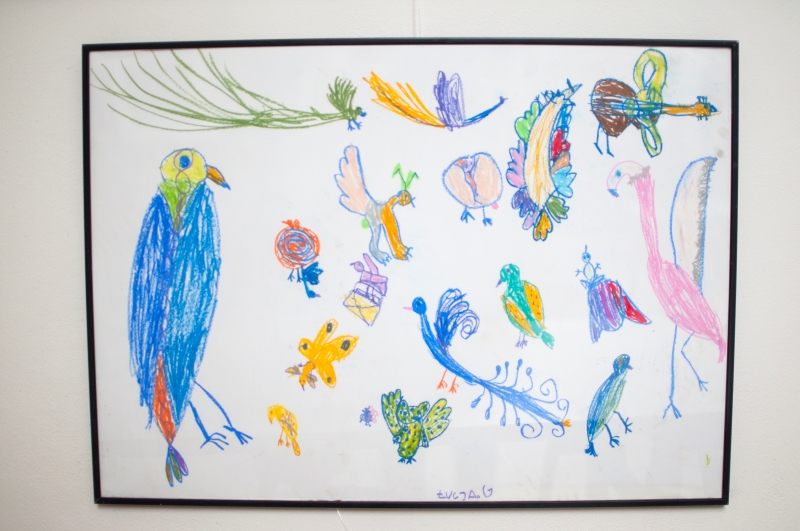 Zdjęcie pracy plastycznej uczestnika/czki warsztatów plastycznych. Na rysunku różne rodzaje kolorowych ptaków, narysowane ręką dziecka. fot. D. Dzieniszewska