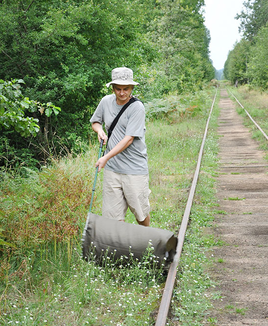 Na zdjeciu Tomasz Mokrzycki wśród roślin przy torach kolejowych czerpakuje owady.