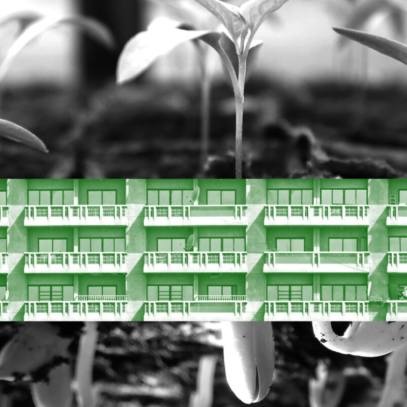 Kolaż fotograficzny: zielone balkony na tle kiełkujących roślin. Fot. za Biennale Warszawa