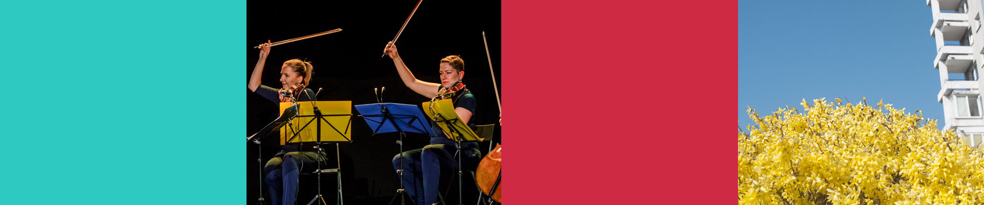 Obrazek podzielony na 4 mniejsze równe kwadraty. Dwa z nich wypełnione jednolitym, w dwóch pozostałych: zdjęcie kwitnącego drzewa oraz kwartetu smyczkowego na scenie