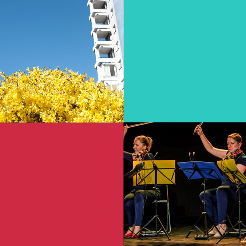 Obrazek podzielony na 4 mniejsze równe kwadraty. Dwa z nich wypełnione jednolitym, w dwóch pozostałych: zdjęcie kwitnącego drzewa oraz kwartetu smyczkowego na scenie