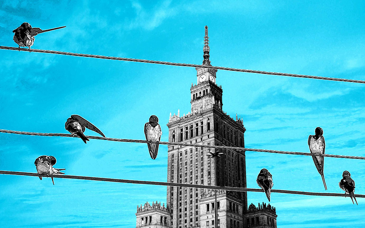 Rysunek: jaskółki siedzące na kablach wysokiego napięcia na tle Pałacu Kultury. Il. Ela Birylo