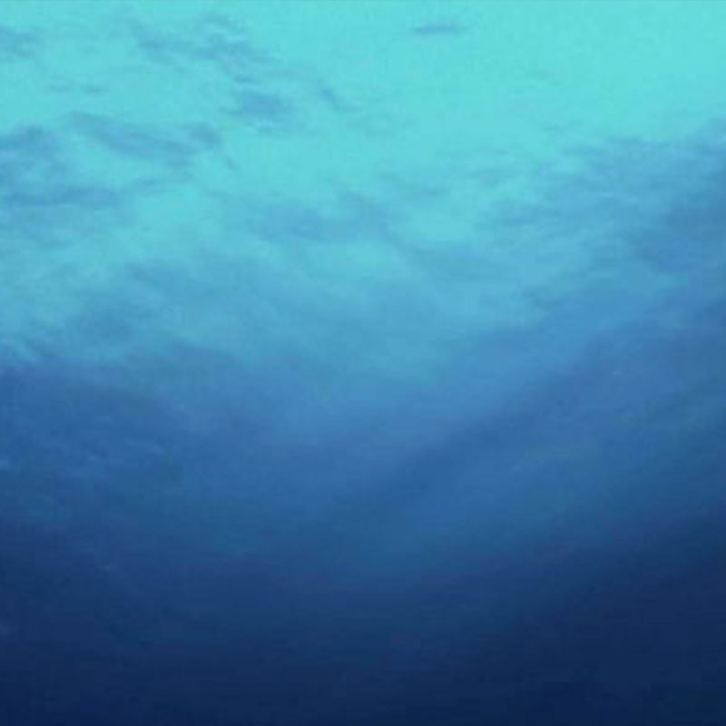 Okładka płyty: Wodna toń.