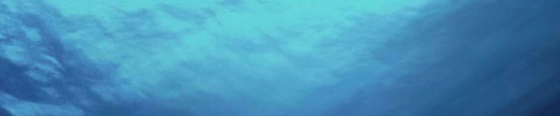 Okładka płyty: Wodna toń.