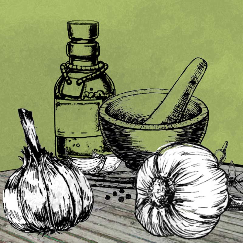 Liniowy rysunek czosnku, moździerza i buteleczek z miksturami
