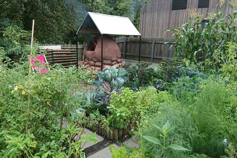 Zdjęcie bujnie rozkwitającego Wspólnego Ogrodu z 2018 r. W głębi ogrodu piec chlebowy, w tle fragment budynku SDK.  Fot. Paulina Jeziorek