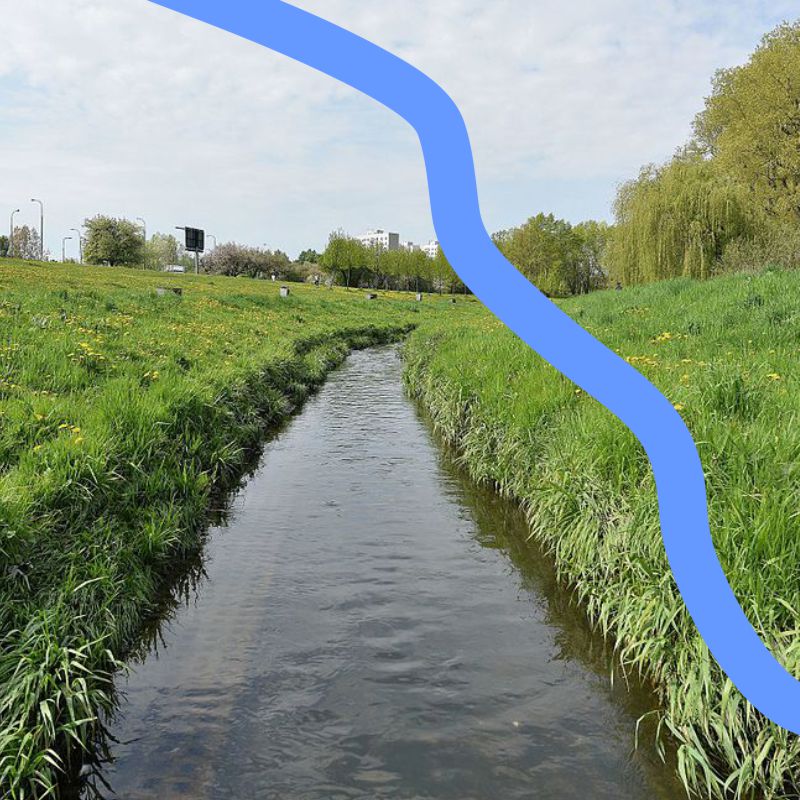 Zdjęcie przejścia podziemnego przy potoku ( tle dwie postacie kobiece) i samego potoku  Na tle zdjęcia rysunek zabawnej krówki z wędką na ryby. Fot. dzięki uprzejmości www.ursynow.org.pl oraz rodziny Pytko Źródło: https://www.facebook.com/Sluzew