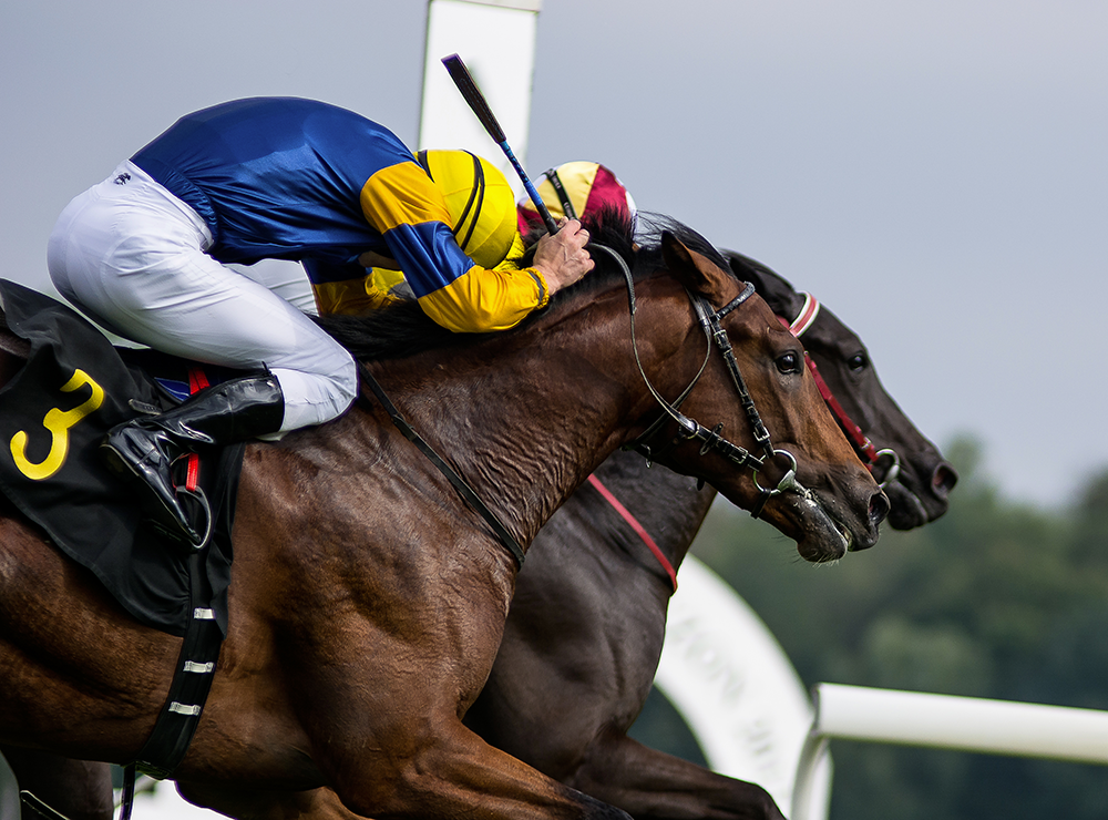 fot. Monika Metza-Jodłowska