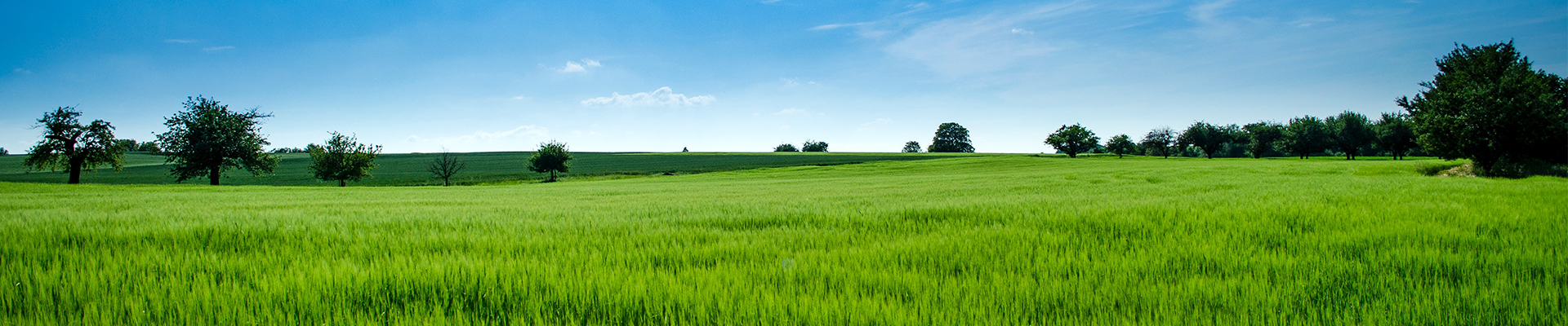 Na zdjęciu teren oraz obiekty SDk widziane z lotu ptaka