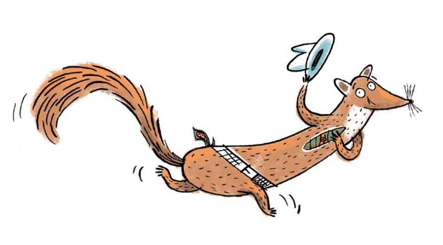 Biegnąca kuna uchylająca kapelusza. Ilustracja z książki "Pięć sprytnych kun", tekst: Justyna Bednarek, ilustracje: Daniel de Latour, 2016, wydawnictwo: Poradnia K.