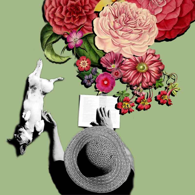 Grafika: