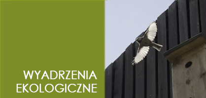Pozioma ilustracja: po prawej zdjęcie modraszki w locie; po lewej jednolity kwadrat , na nim napis "ekologia".