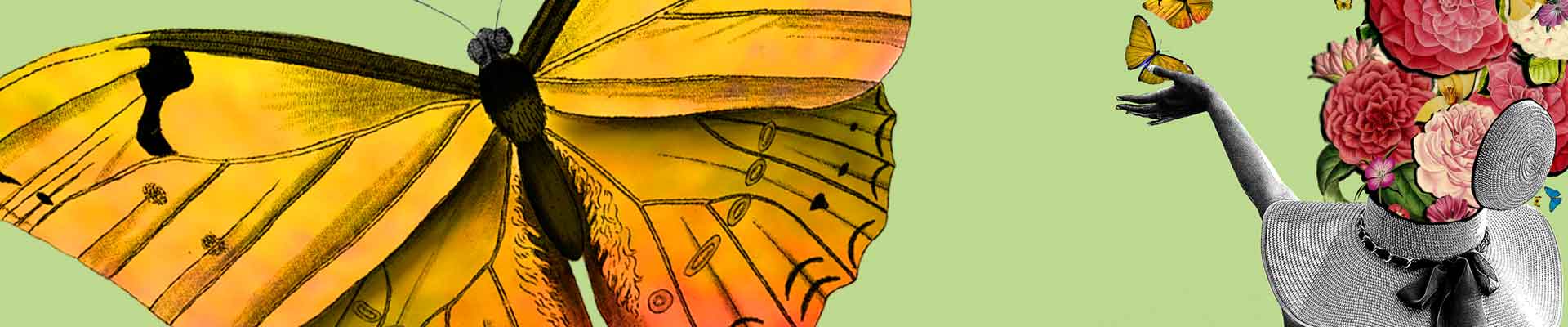 Ilustracja: na jednolitym tle odwrócona tyłem kobieta w kapeluszu słomkowym. Kapelusz jest otwarty, a prosto z głowy postaci wyrastają kwiaty. Kobieta z lewej ręki wypuszcza motyle. .Il. Ela Biryło