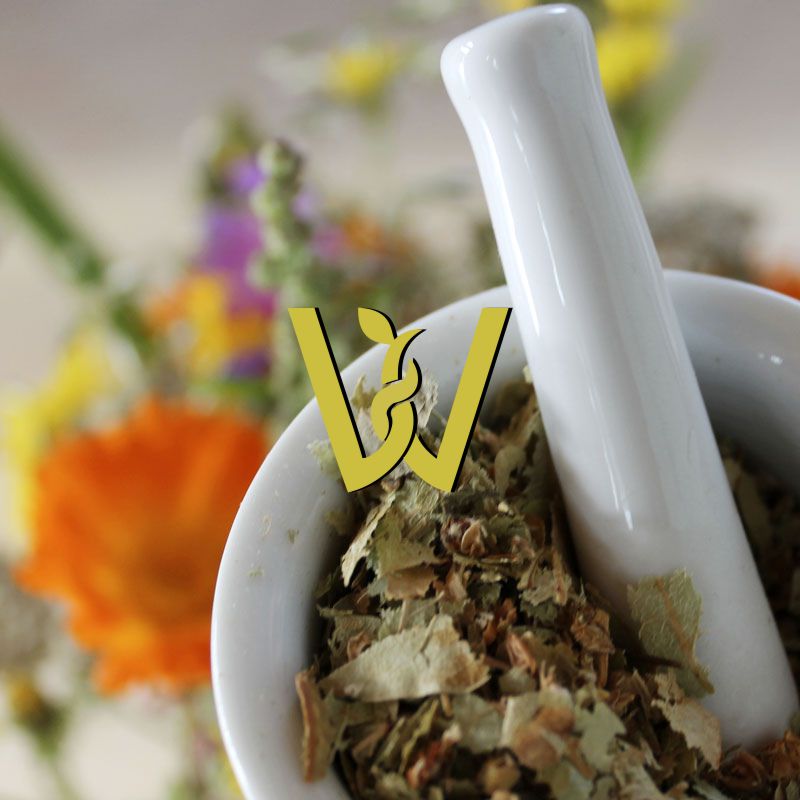 Liniowy rysunek czosnku, moździerza i buteleczek z miksturami