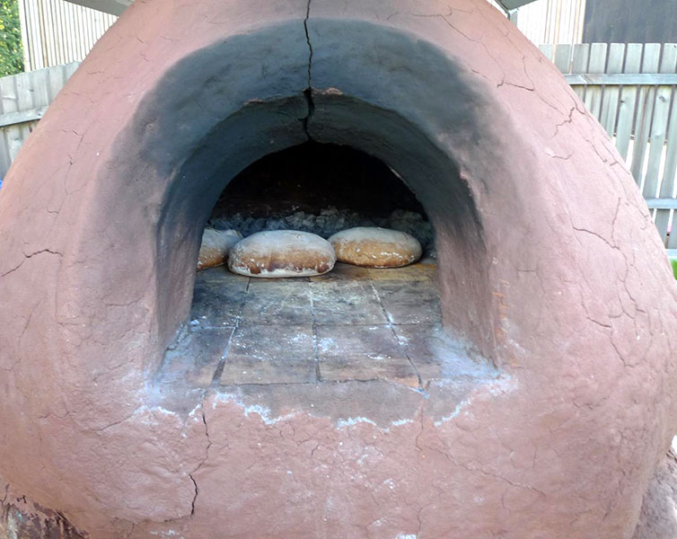 20452031 1915537565367996 8274113024653129165 o