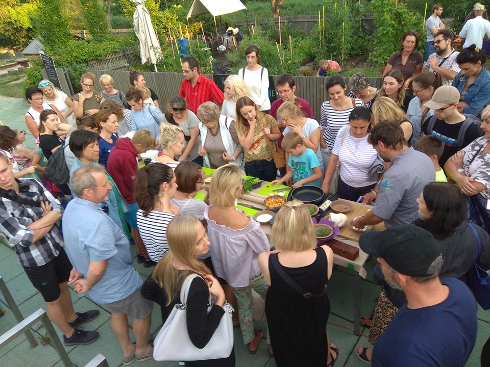 68304053 2365204880401260 2490656499932594176 n