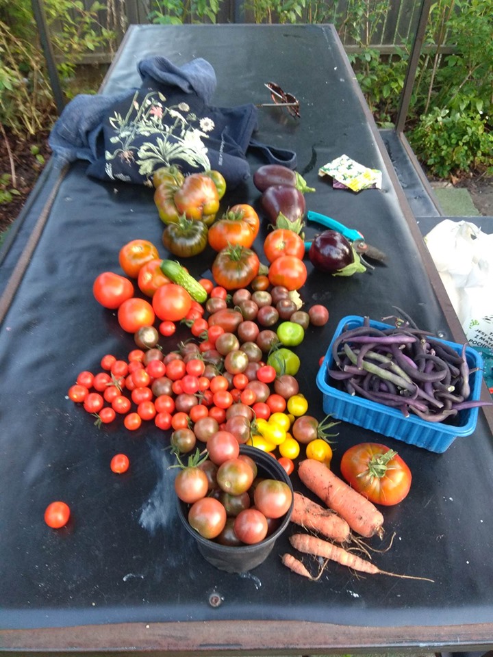 69261205 2376163812638700 2719514579624263680 n