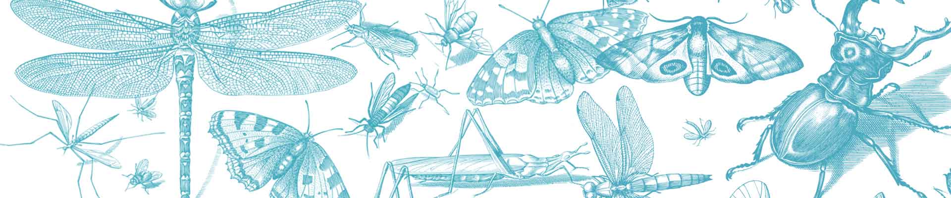 Na zdjęciu: mężczyzna i dziewczynka kucają na drewnianym pomoście nad stawem z czerpakiem na owady.