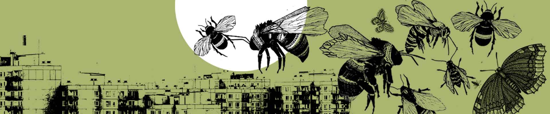 Grafika: na tle szarego blokowiska trzmiel na kolorowym kwiatku.