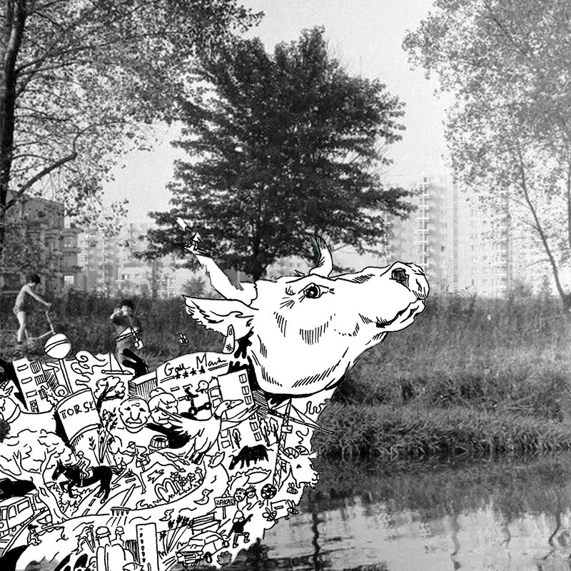 Grafika: Logo projektu krowa z ciałem zbudowanym z symboli Mokotowa na tle zdjęcia drzew i stawu w Dolince Służewieckiej. Zdjęcie: Archiwum domowe Tomasza Bąka 1984 r. Źródło: https://www.facebook.com/Sluzew http://fotopolska.eu/173,user.html