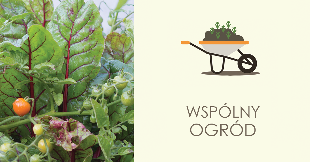 Na grafice z lewej strony znajduje się zdjęcie roślin ogrodu. Z prawej strony ilustracja taczki z nasypaną na nią ziemią oraz wystającymi roślinkami. Pod ilustracją napis wspólny ogród. 