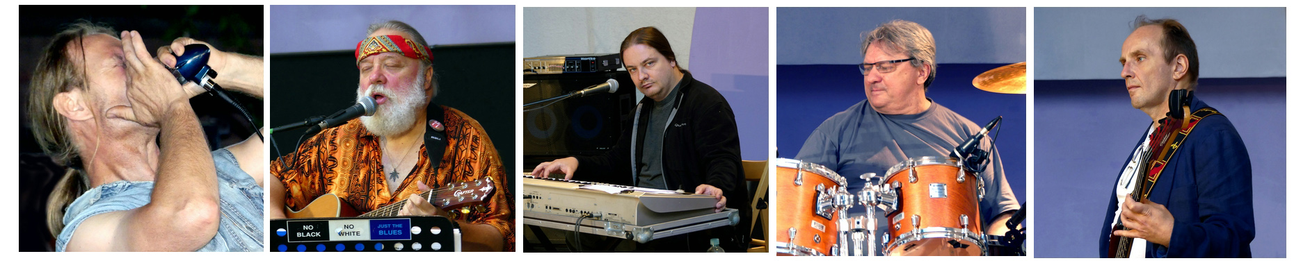 Na grafice kolaż pięciu zdjęć, na których widać portrety grających muzyków w zespole. Od lewej strony: mężczyzna grający na harmonijce, gitarzysta, klawiszowiec, perkusista i basista.