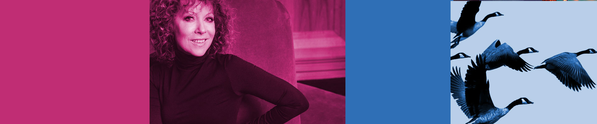 Poziomy obrazek podzielony na 4 mniejsze równe kwadraty. Dwa z nich wypełnione jednolitym, w dwóch pozostałych :Alicja Majewska i klucz kaczek w locie.