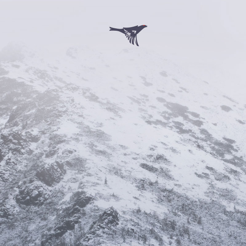 Grafika: na tle str"victorii" dotykają się przez piórko do gitaryun gitary dwie dłonie, w tym jedna w geście . W lewym dolnym rogu stylizowana na logo "Solidarności" data 2022