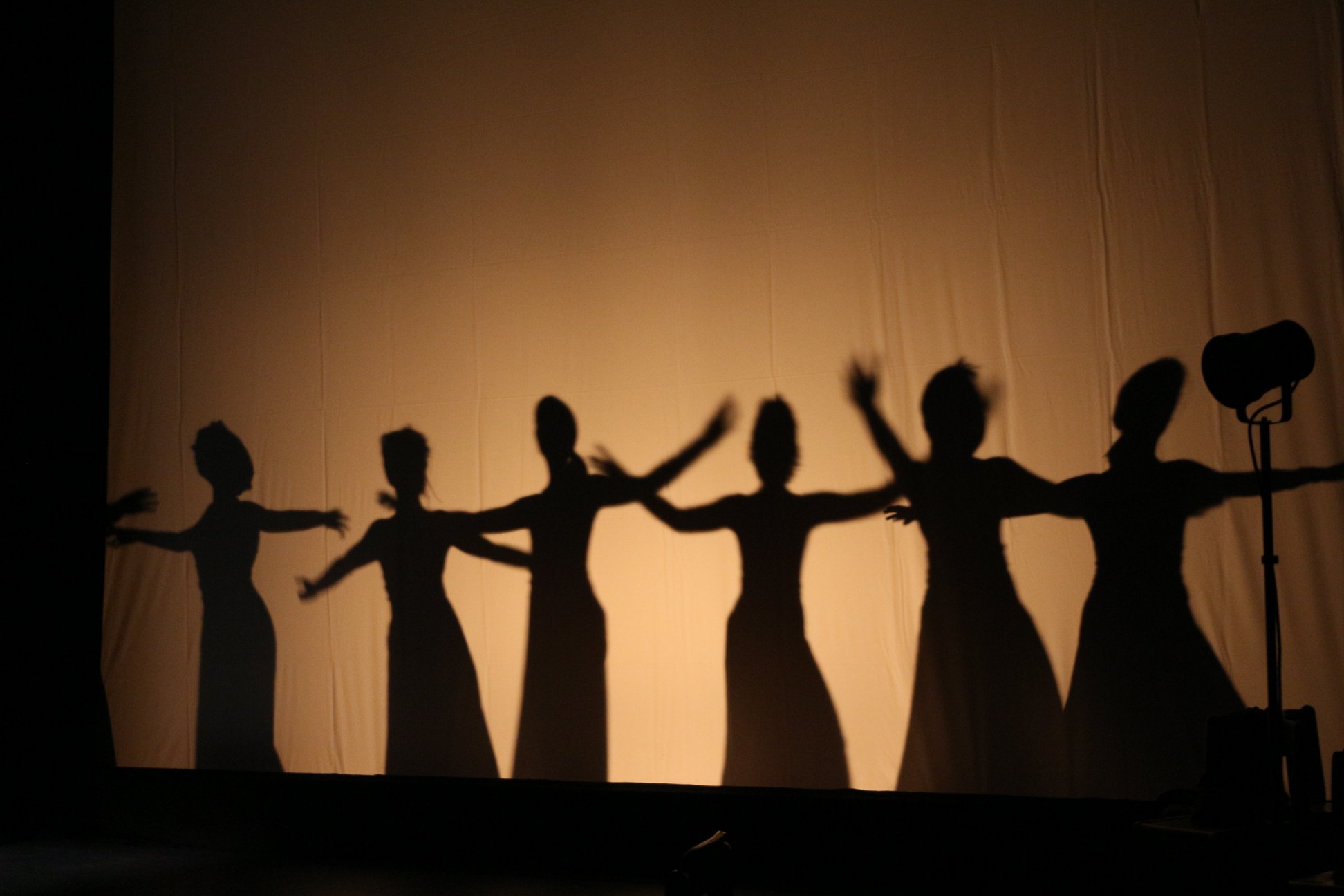 Przedstawia grupę tancerek w postaci teatru cieni za dużym, białym ekranem.