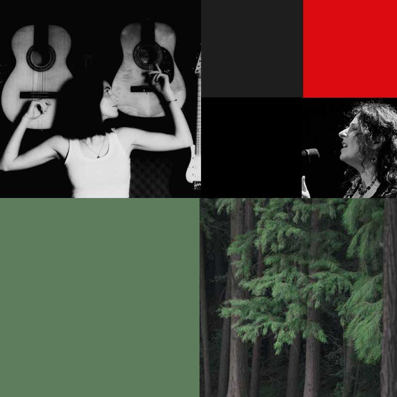 Kwadratowy obrazek podzielony na 4 mniejsze równe kwadraty. Dwa z nich wypełnione jednolitym, w dwóch pozostałych :Alicja Majewska i klucz kaczek w locie.