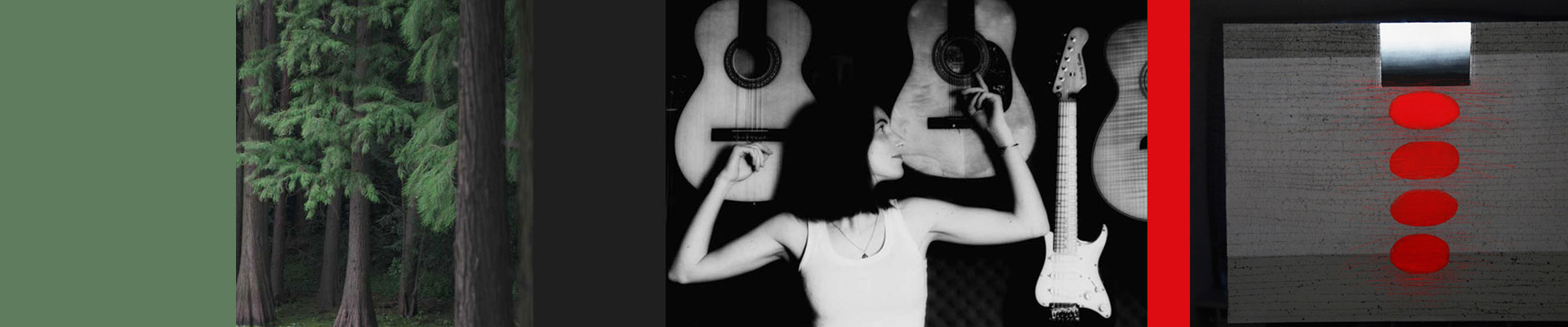 Poziomy obrazek podzielony na 4 mniejsze równe kwadraty. Dwa z nich wypełnione jednolitym, w dwóch pozostałych :Alicja Majewska i klucz kaczek w locie.