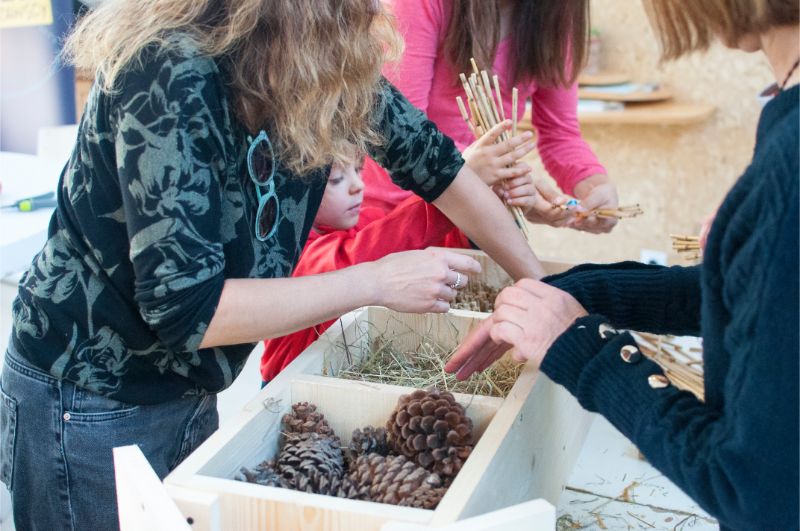 Zdjęcie przedstawia dłonie ludzi wkładających szyszki, trzcinę oraz siano do domków dla zapylaczy.