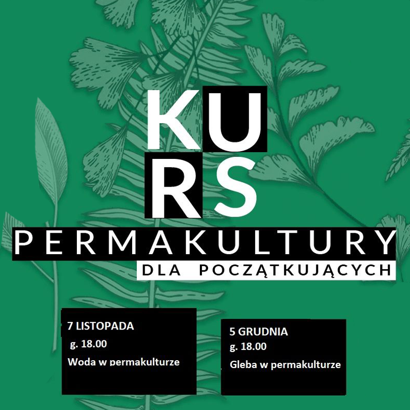 Na grafice napis kurs permakultury dla początkujących. Pod napisem daty spotkań: 7.11 oraz 5.12. W tle, na zielonym tle ilustracje liści różnych roślin.