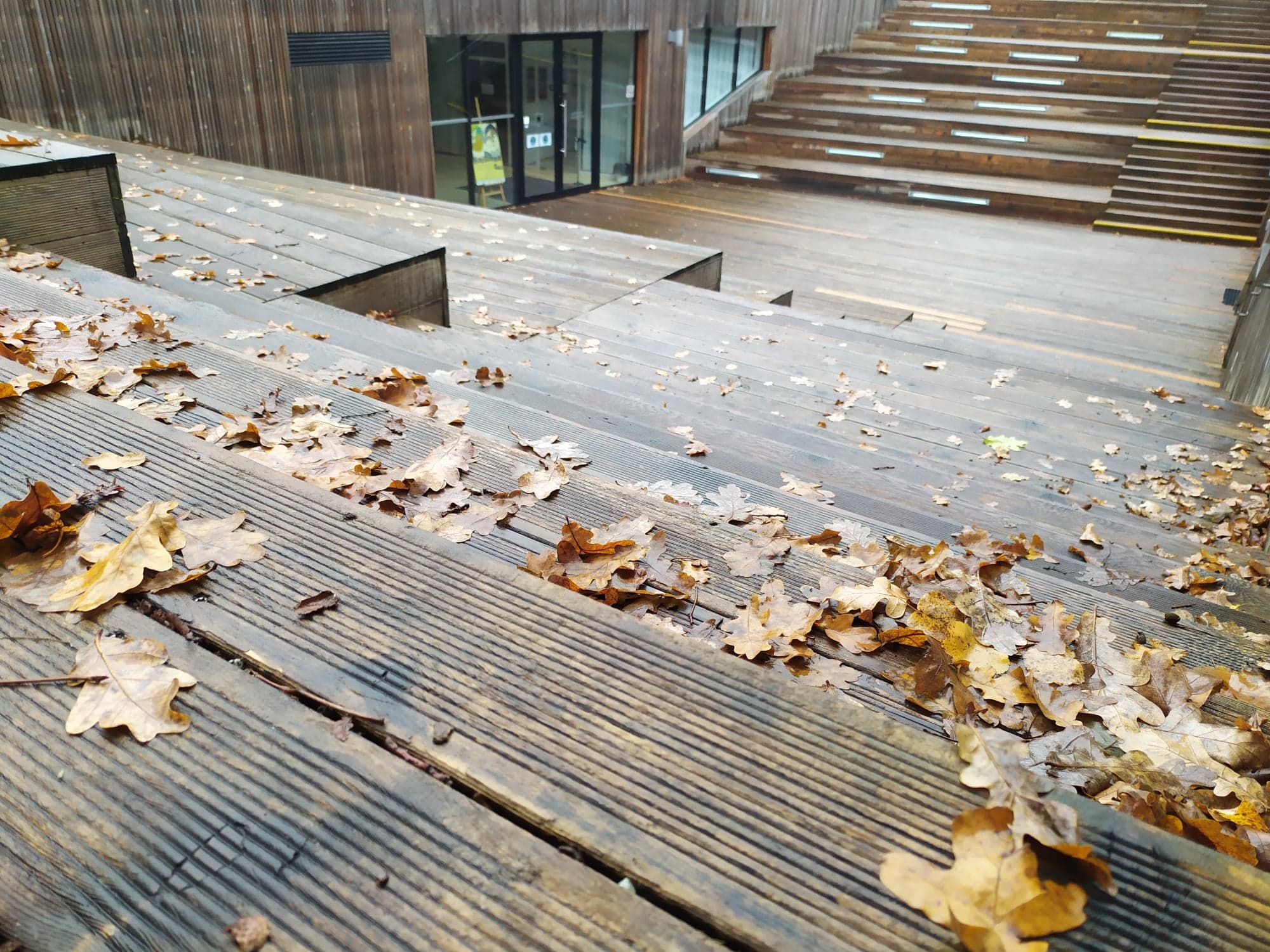 Widok na amfiteatr SDK z żabiej perspektywy. Na pierwszym planie opadłe liście z drzew.