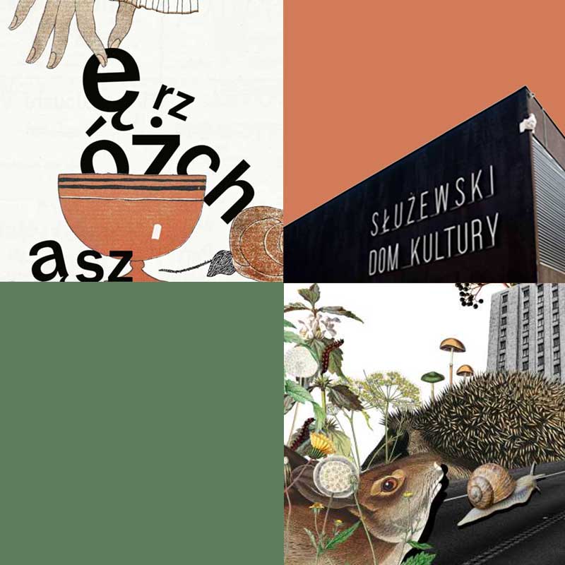 Kwadratowy obrazek podzielony na 4 mniejsze równe kwadraty. Dwa z nich wypełnione jednolitym, w dwóch pozostałych :Alicja Majewska i klucz kaczek w locie.