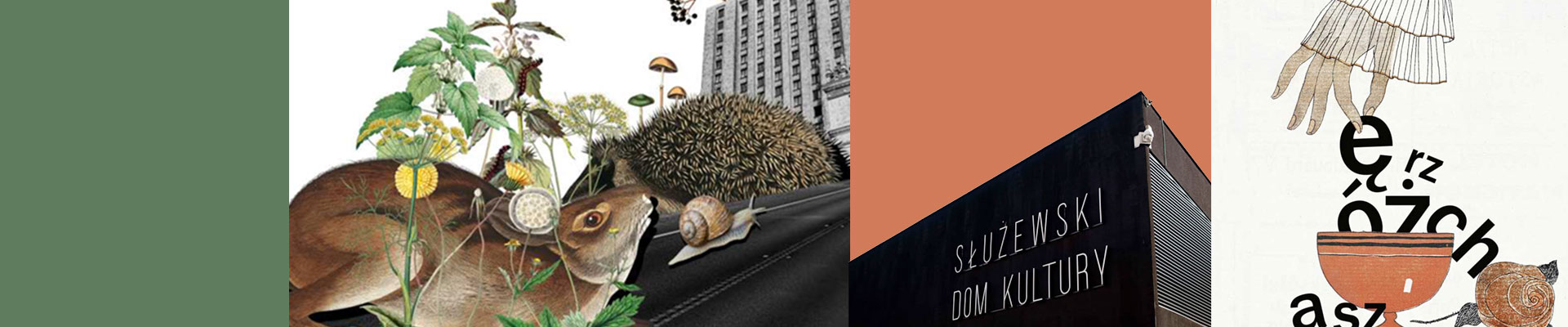 Poziomy obrazek podzielony na 4 mniejsze równe kwadraty. Dwa z nich wypełnione jednolitym, w dwóch pozostałych :Alicja Majewska i klucz kaczek w locie.