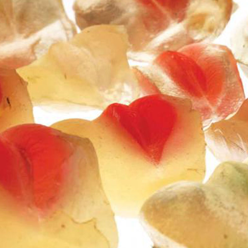 Na grafice znajduje się fragment rzeźby Aliny Szapocznikow pt „Wszystko zostawia ślad…” jest to rzeźba, której tworzywem jest żywica syntetyczna.