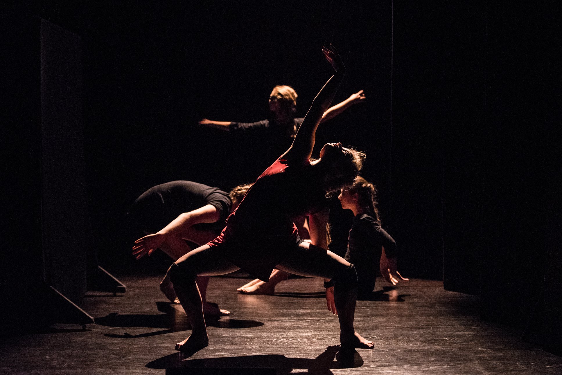 Zdjęcie promocyjne zespołu. Fot. Marta Ankiersztajn Na zdjęciu tancerki stojące w linii w ciemnym świetle. Tancerki znajdują na scenie teatralnej.