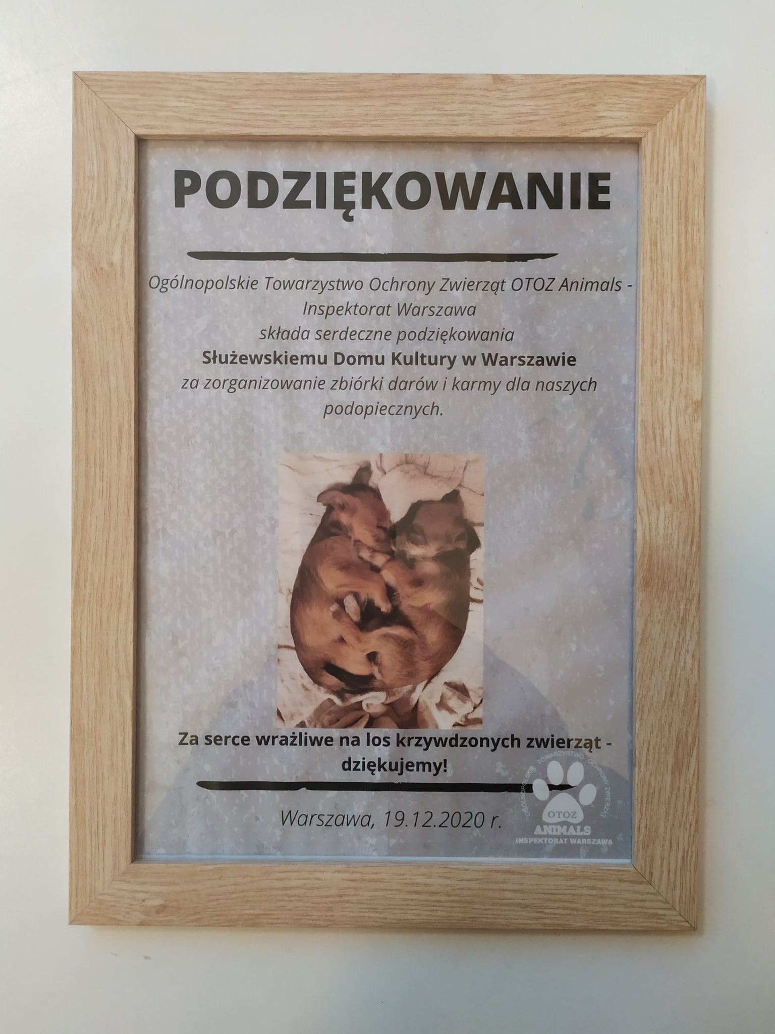 Podziękowania od OTOZ Animals dla SDK za przekazanie darów na rzecz zwierząt. Dyplom jest włożony w drewianą ramkę. Tło białe.