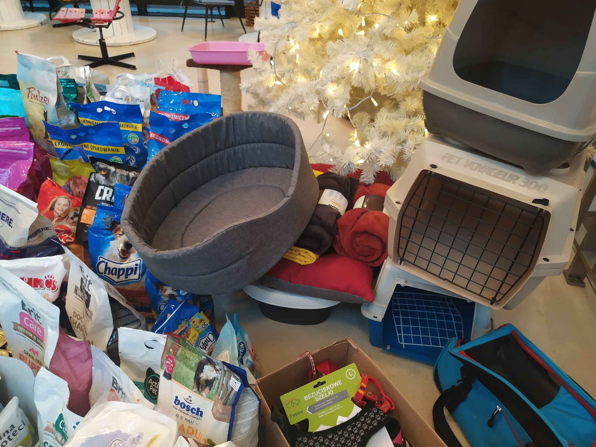 Zbliżenie na zebrane dary. Na zdjęciu widać karmę suchą dla psów i kotów, legowiska, transportery oraz smycze. W tle fragment białej choinki