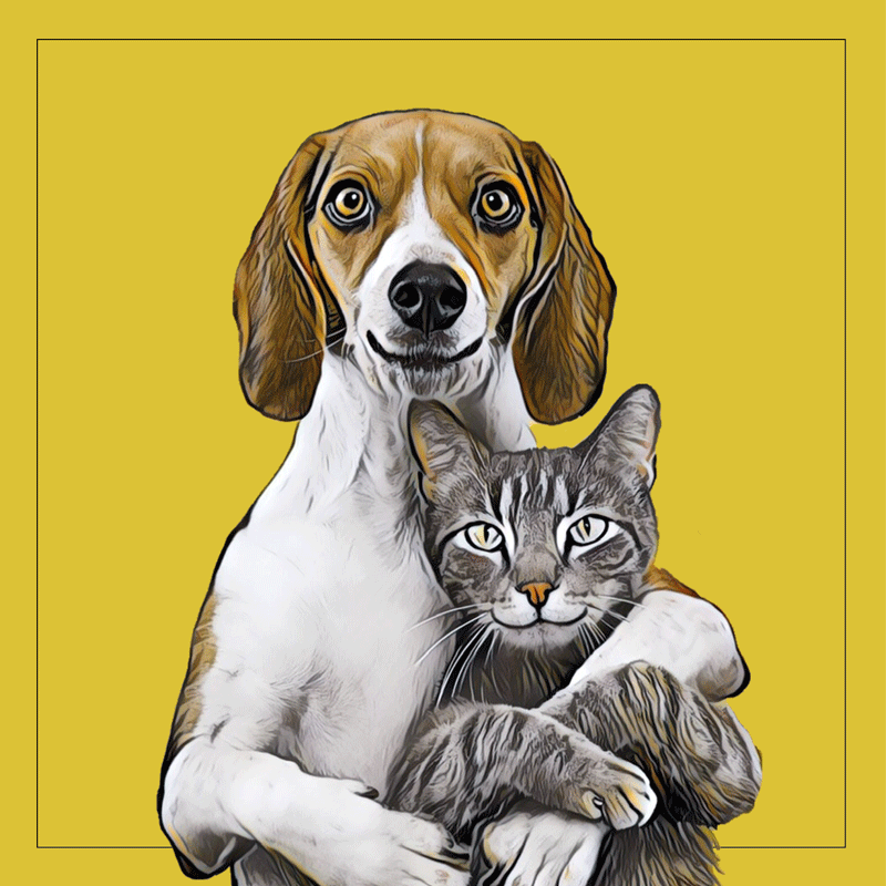 ilustracja graficzna psa obejmującego kota na żółtym tle.