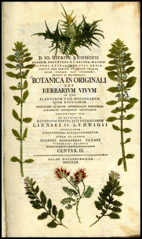 i3934 Herbarium vivum03