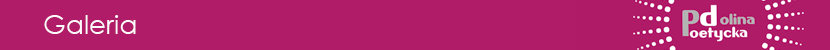 PD2017 naglowek Galeria